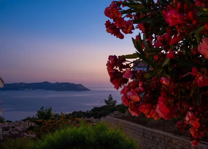 Villa White Garden *